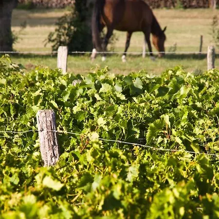 La Ferme Des Ecluseaux